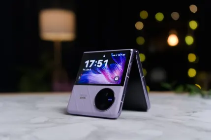 Casino Jungle Raja Application mobile